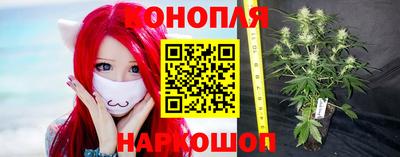 дмт Бийск