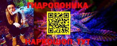 дмт Бийск