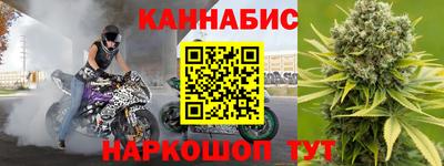 дмт Бийск