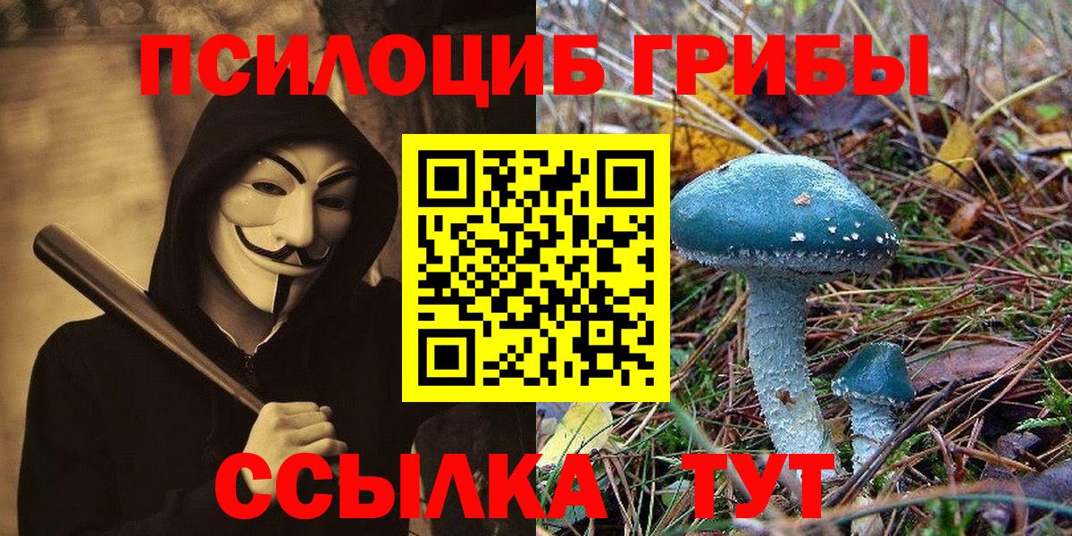 Сыктывкар  Галлюциногенные грибы мицелий  Вход с VPN 