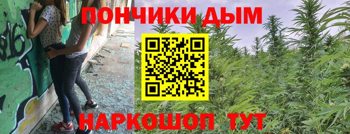 Каннабис марихуана  Вход с VPN  Сыктывкар  Конопля тримм 